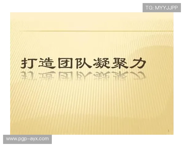 提升团队凝聚力:队际项目中的关键策略与实践 提升团队凝聚力:队际项目中的关键策略与实践