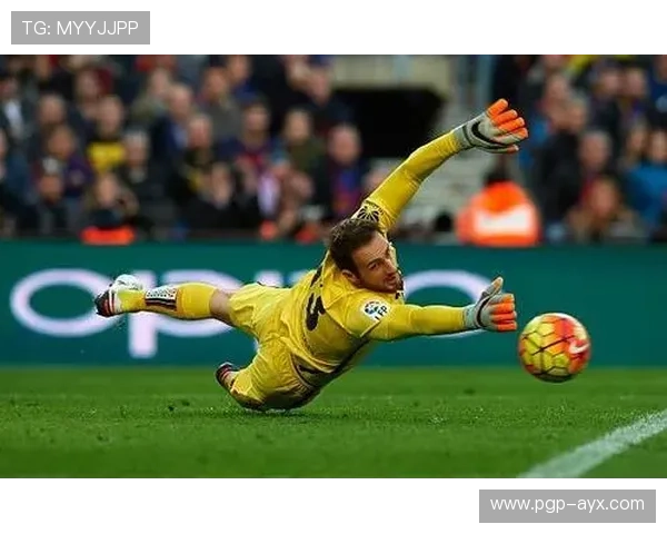 《奥布拉克纪录片揭秘：世界最佳门将背后的奋斗与荣耀》